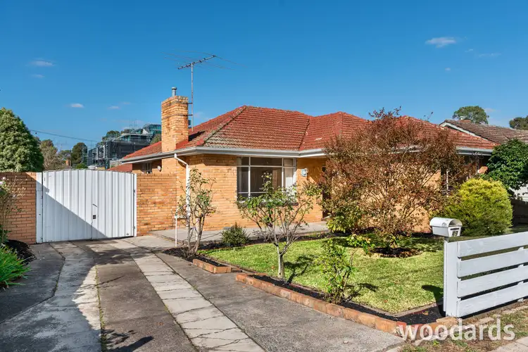 Main view of Homely house listing, 49 Francis Street, Blackburn VIC 3130