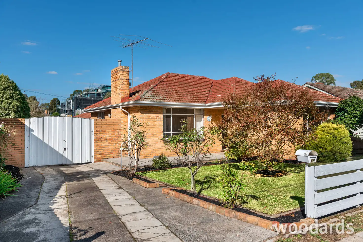 Main view of Homely house listing, 49 Francis Street, Blackburn VIC 3130