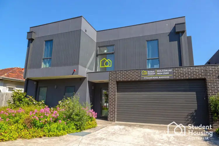 Main view of Homely studio listing, 2/77 Elgar Road, Burwood VIC 3125