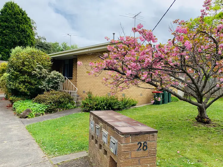 28 Lasiandra Avenue