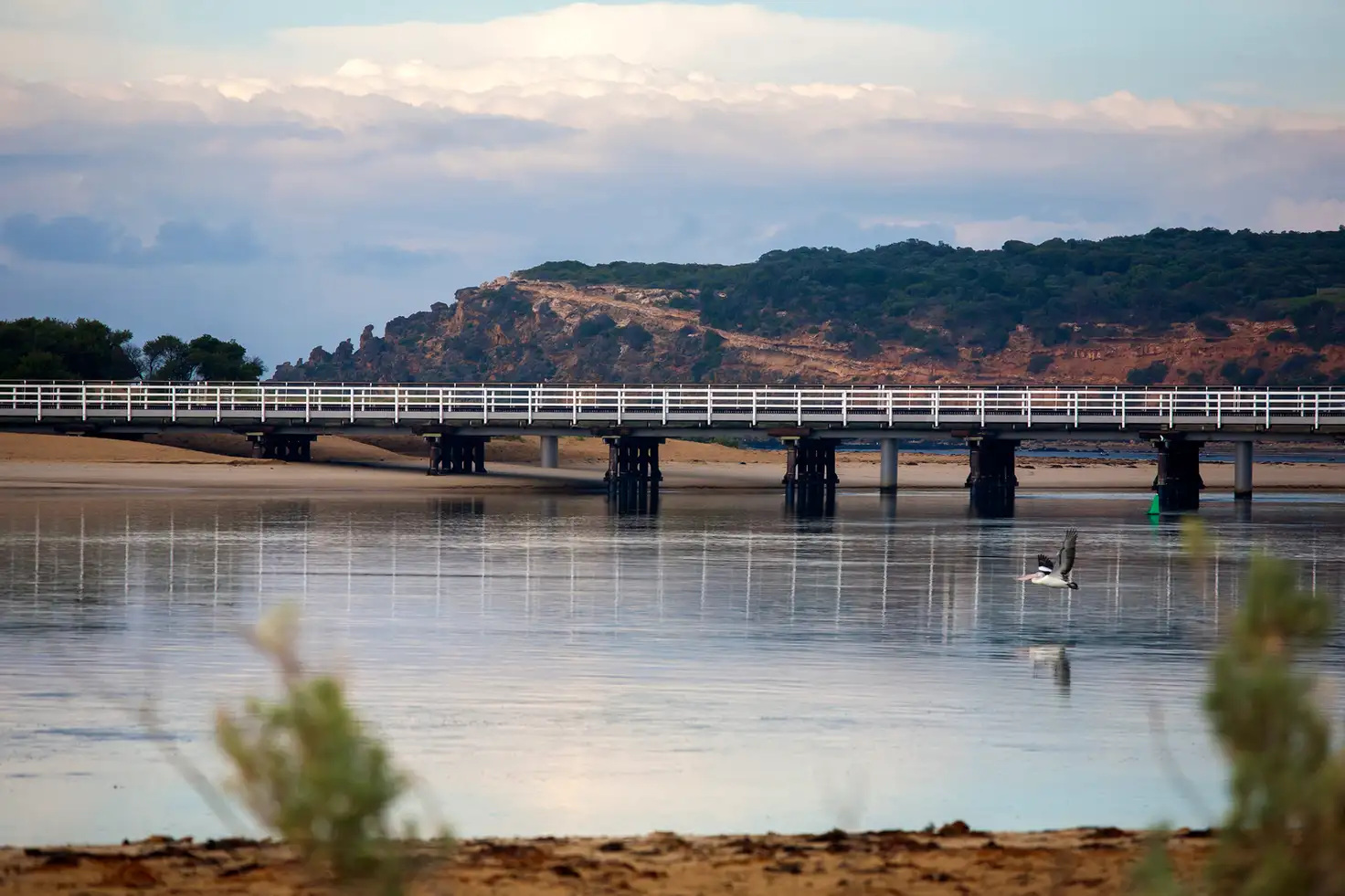 Main view of Homely land listing, 41 Grove Road, Barwon Heads VIC 3227