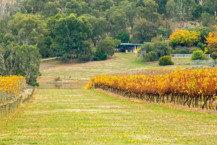 Third view of Homely rural property listing, 76 Boundary Road, Coldstream VIC 3770