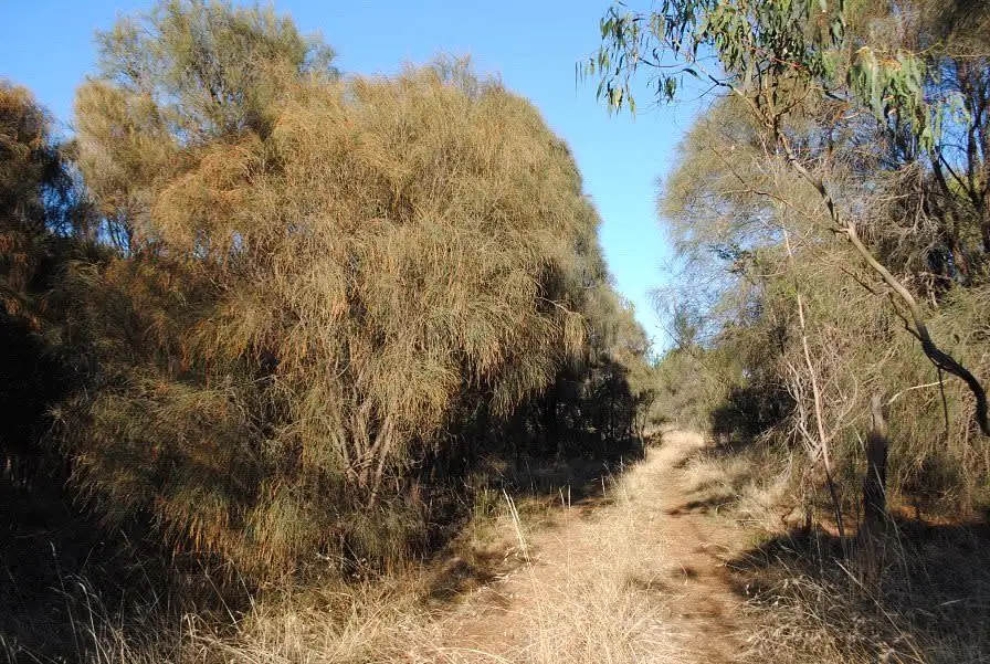 Main view of Homely land listing, Lot 1 Addison Street, Swansea TAS 7190