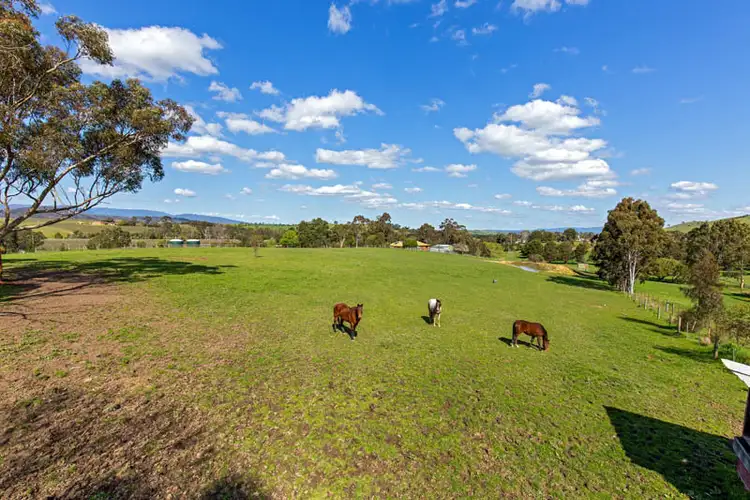 Seventh view of Homely rural property listing, 35 Lorimers Lane, Dixons Creek VIC 3775