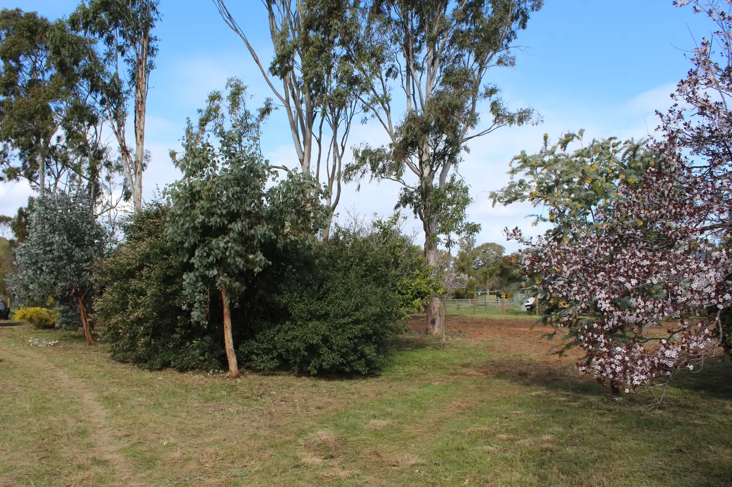 Main view of Homely land listing, 59 McLean Street, Briagolong VIC 3860