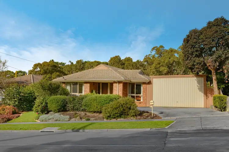 Main view of Homely house listing, 36 Tortice Drive, Ringwood North VIC 3134