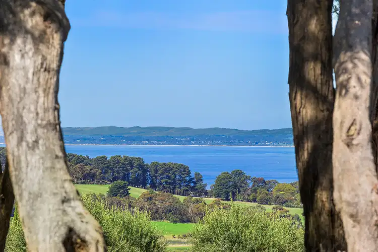 Second view of Homely rural property listing, 530 Tucks Road, Shoreham VIC 3916