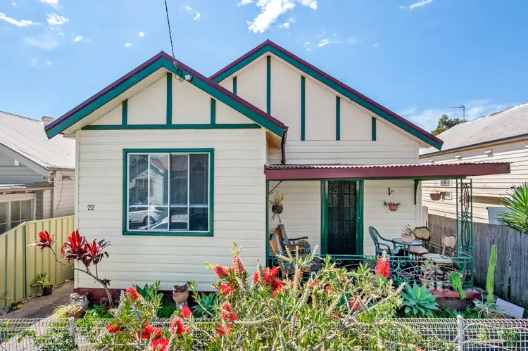 22 Thomas Street, Mayfield NSW 2304