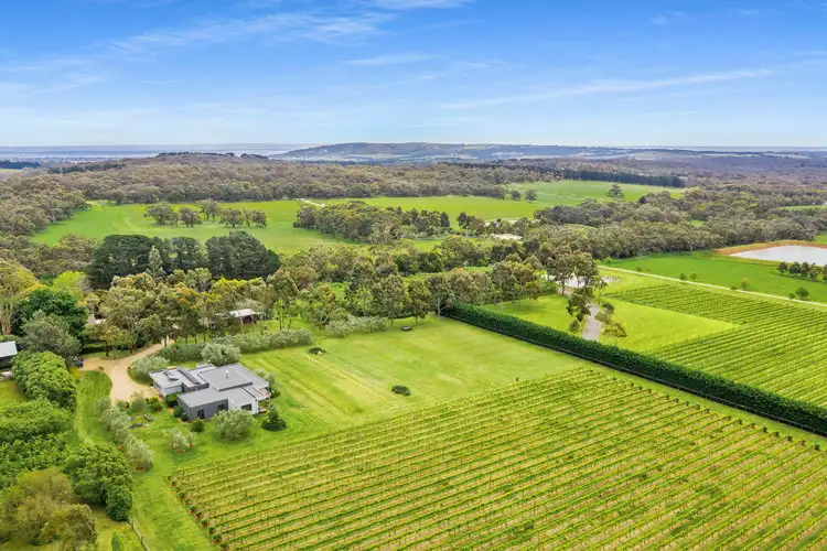 Second view of Homely rural property listing, 31 Tubbarubba Road, Merricks North VIC 3926