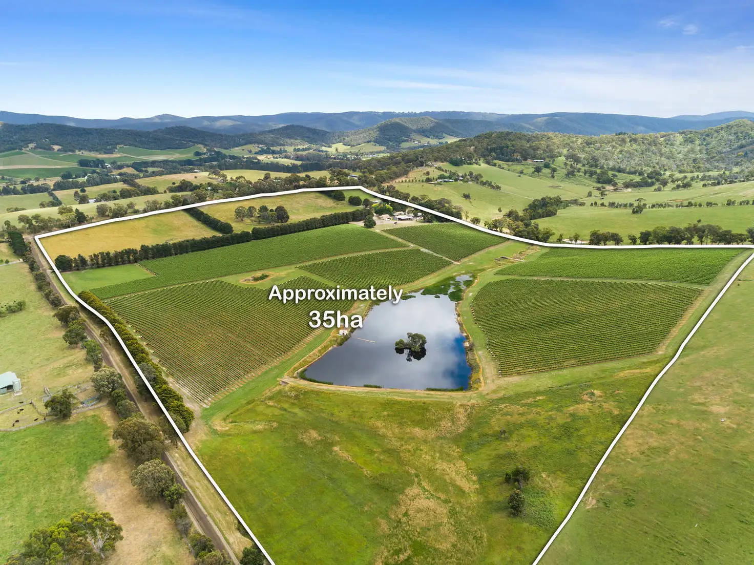 Main view of Homely rural property listing, 843 Old Toolangi-Dixons Creek Road, Dixons Creek VIC 3775