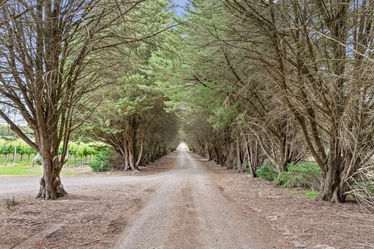 Third view of Homely rural property listing, 843 Old Toolangi-Dixons Creek Road, Dixons Creek VIC 3775