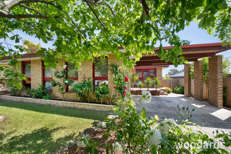 49 Jenner Street, Blackburn South VIC 3130