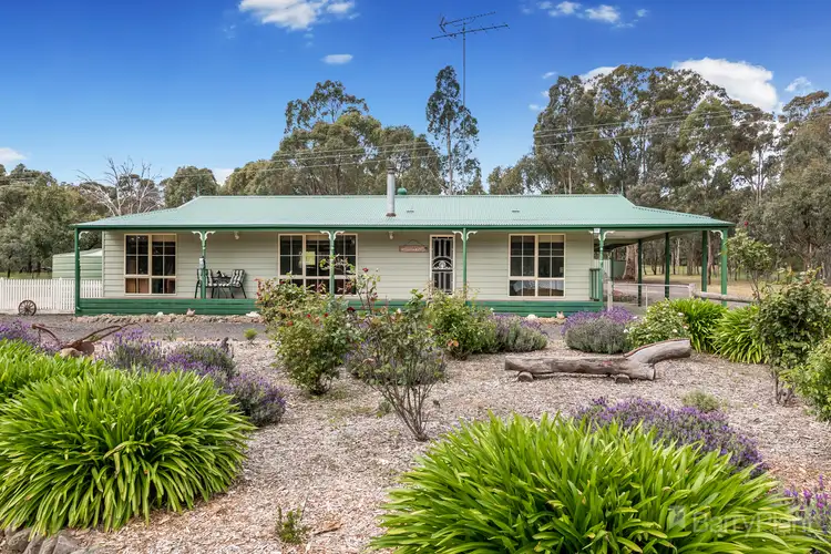 Main view of Homely rural property listing, 565 McDonalds Road, Clonbinane VIC 3658