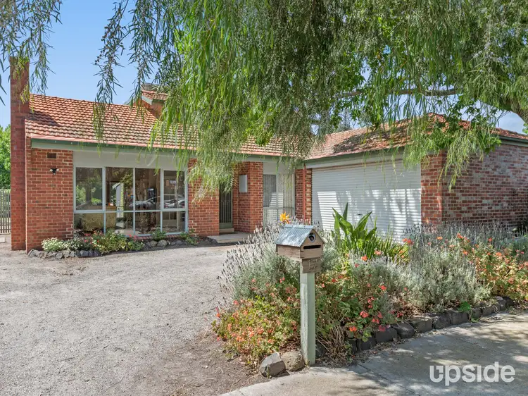 17 Darcy Avenue, Sandringham VIC 3191