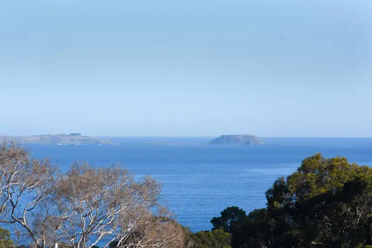 15 Myers Drive, Shoreham VIC 3916