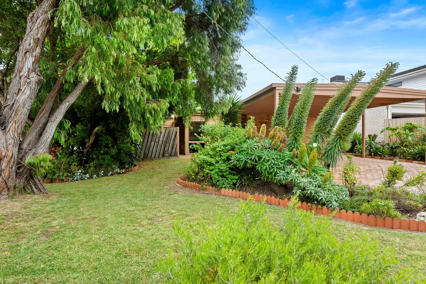 Main view of Homely house listing, 18 Manciple Street, Rye VIC 3941