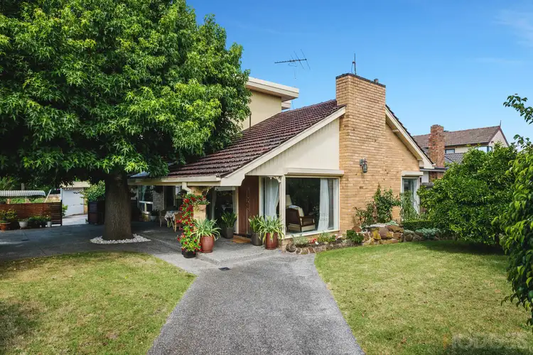 19 Edward Street, Cheltenham VIC 3192