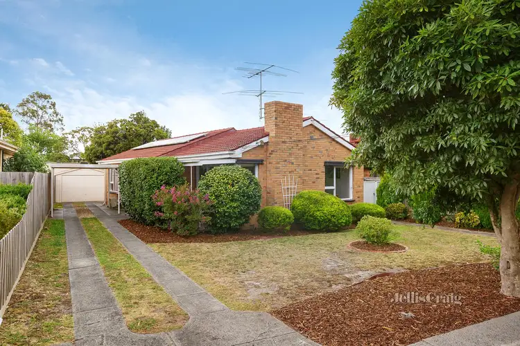 Main view of Homely house listing, 31 Betula Avenue, Nunawading VIC 3131