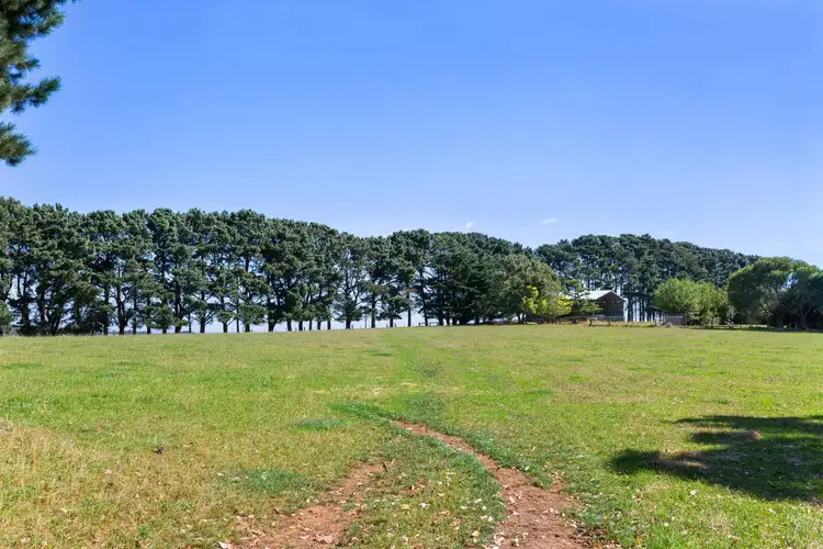 Fifth view of Homely rural property listing, 85 Baldrys Road, Flinders VIC 3929