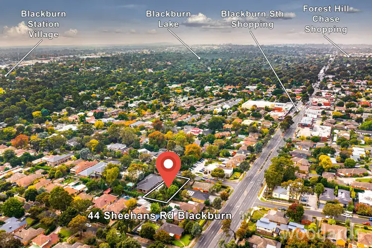 Fourth view of Homely house listing, 44 Sheehans Road, Blackburn VIC 3130