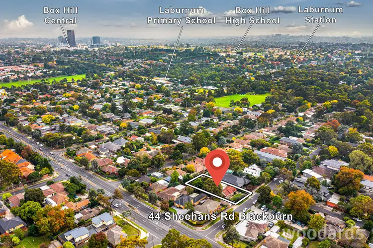 Fifth view of Homely house listing, 44 Sheehans Road, Blackburn VIC 3130