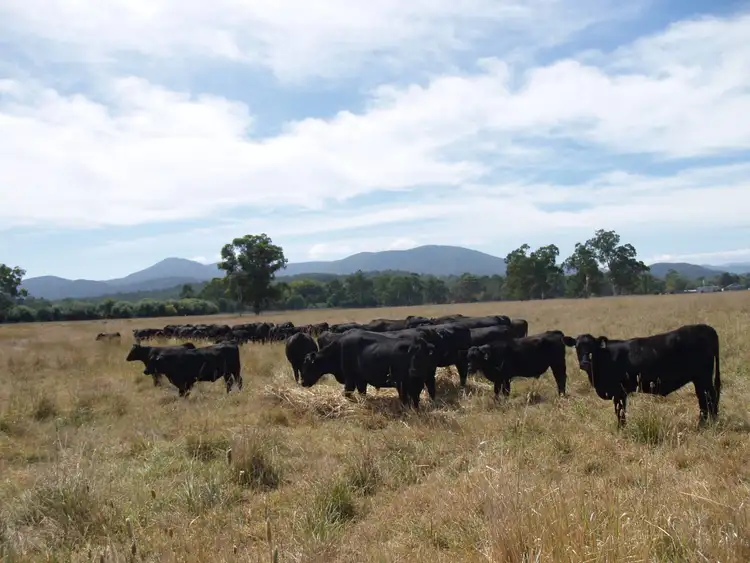 Third view of Homely rural property listing, 95 McGrettons Road, Healesville VIC 3777