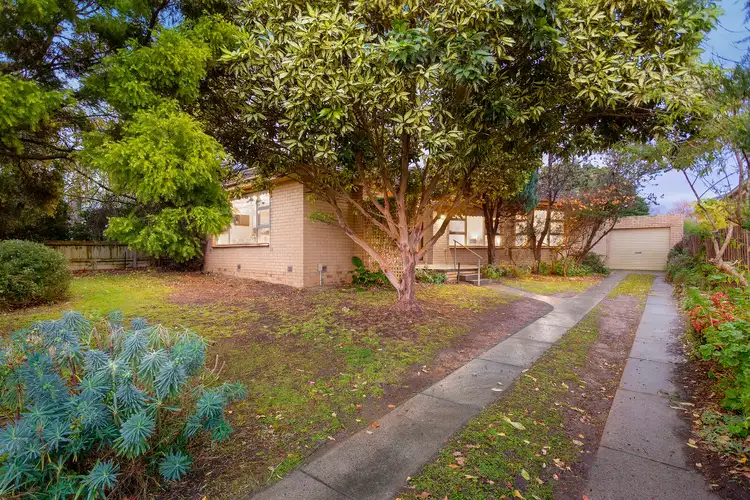 36 Harrison Street, Box Hill North VIC 3129