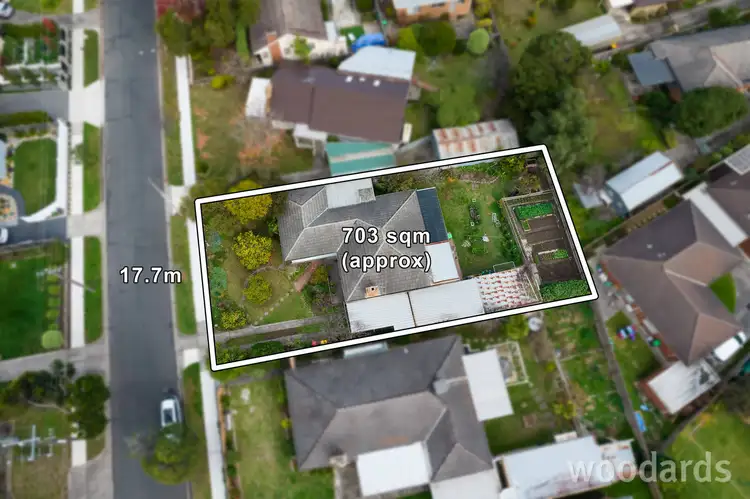 Main view of Homely house listing, 46 Betula Avenue, Vermont VIC 3133