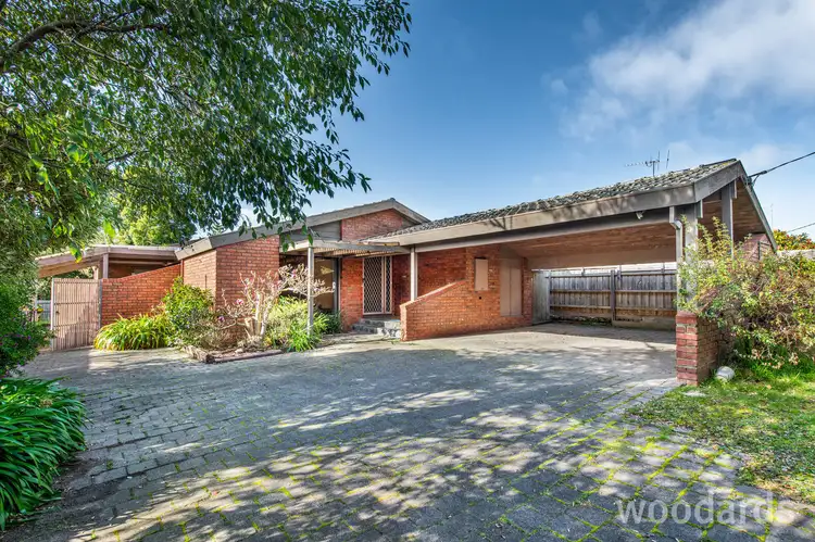 17 Orchard Grove, Blackburn South VIC 3130