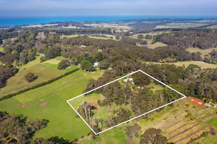 Main view of Homely house listing, 339 Tucks Road, Shoreham VIC 3916