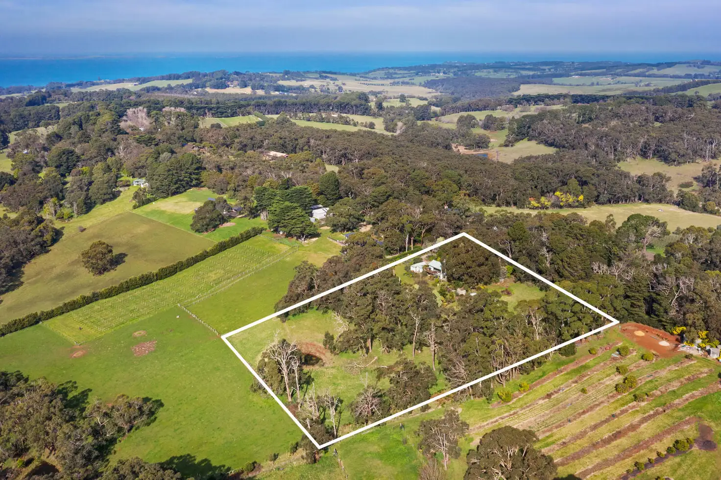 Main view of Homely house listing, 339 Tucks Road, Shoreham VIC 3916