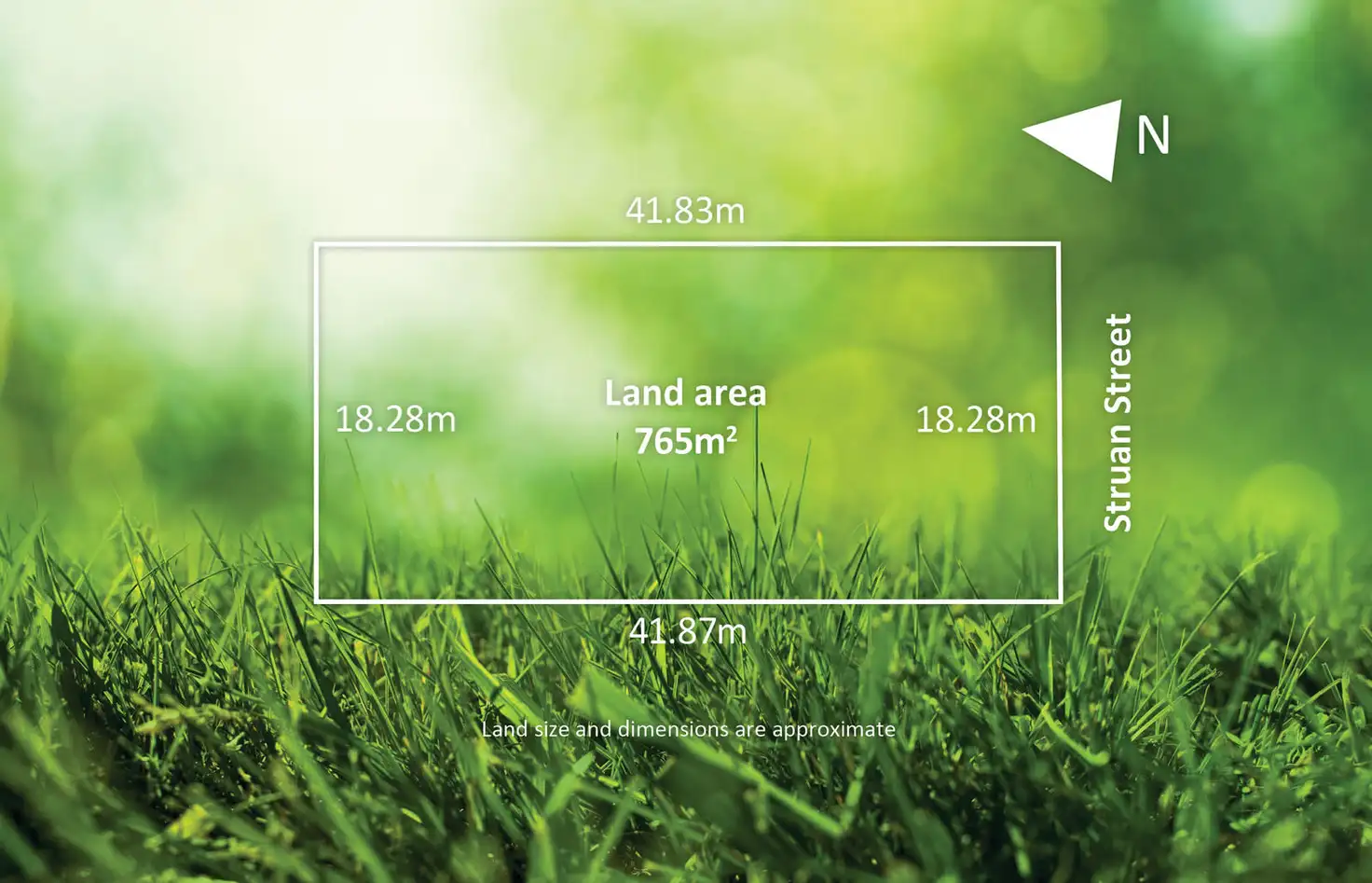 Main view of Homely house listing, 11 Struan Street, Toorak VIC 3142