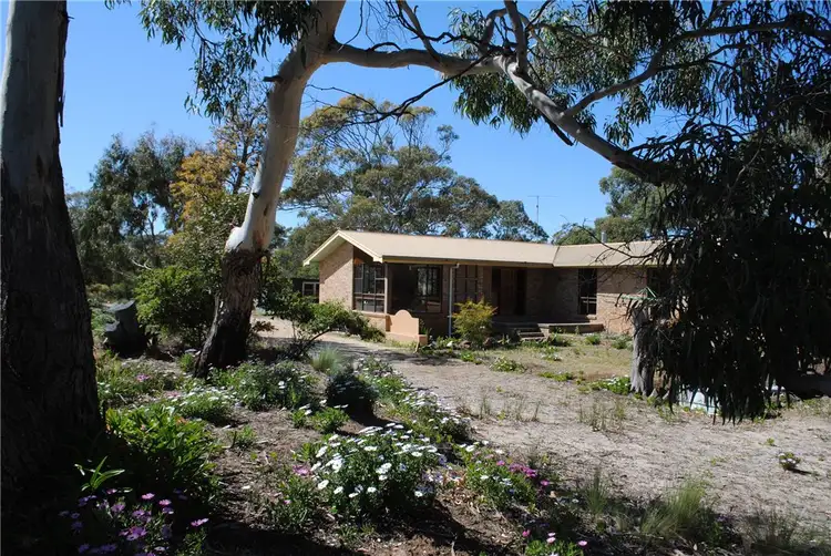 Main view of Homely house listing, 1298 Dolphin Sands Road, Dolphin Sands TAS 7190