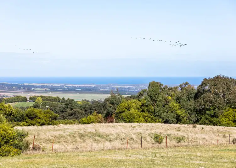Third view of Homely rural property listing, 61 Waterfall Gully Road, Main Ridge VIC 3928