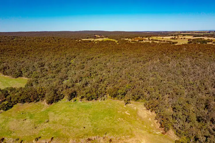 Second view of Homely rural property listing, 37E Piggoreet Road, Piggoreet VIC 3351