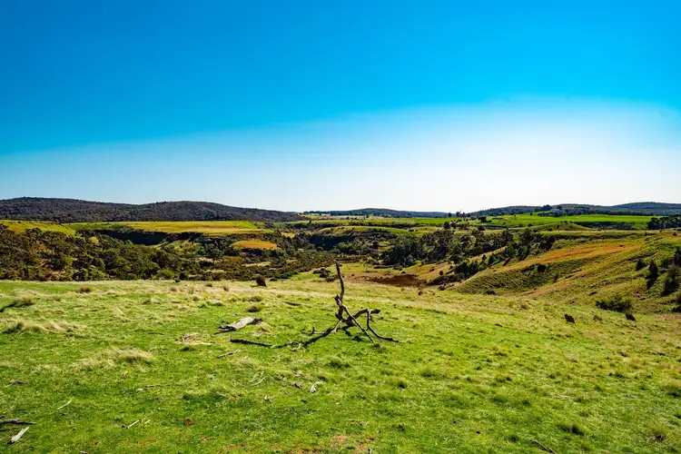 Fourth view of Homely rural property listing, 37E Piggoreet Road, Piggoreet VIC 3351