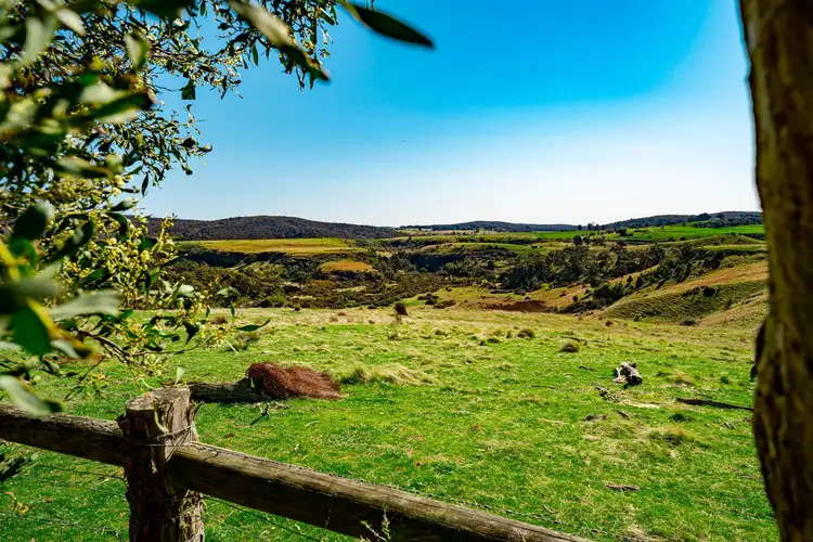 Fifth view of Homely rural property listing, 37E Piggoreet Road, Piggoreet VIC 3351