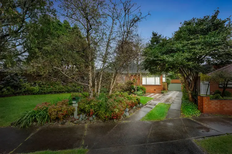 Main view of Homely house listing, 101 Therese Avenue, Mount Waverley VIC 3149