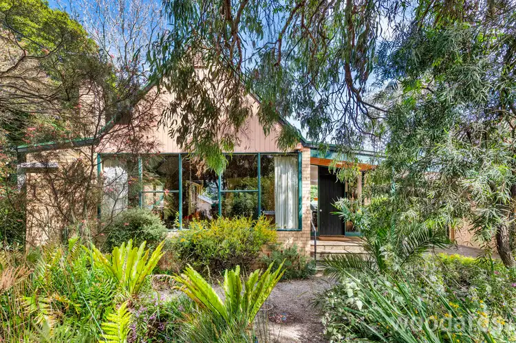 36 The Avenue, Blackburn VIC 3130
