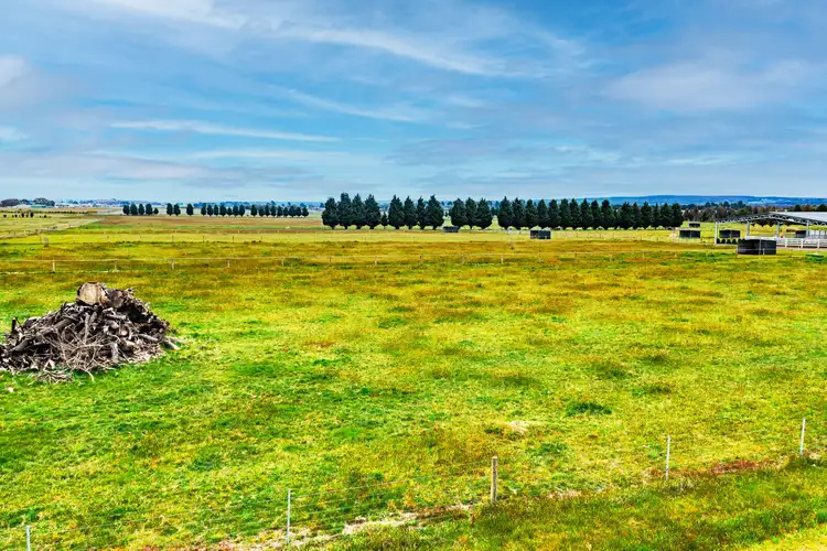 Seventh view of Homely rural property listing, 115 School Lane, Cambrian Hill VIC 3352