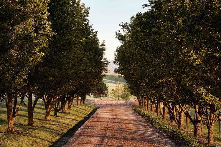 Third view of Homely rural property listing, 215 Powers Road, Merrijig VIC 3723