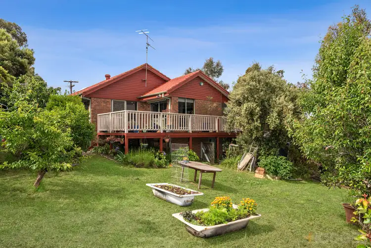 Main view of Homely house listing, 42 Mermaid Avenue, Ocean Grove VIC 3226