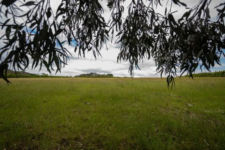 Third view of Homely rural property listing, Lot 11 Callaghan Road, Berringa VIC 3351