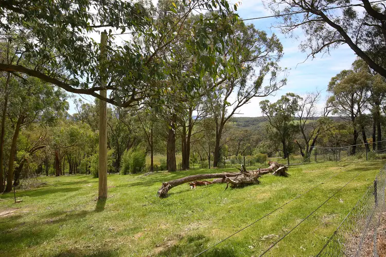Sixth view of Homely rural property listing, 260 Sheepstation Creek Road, Yellingbo VIC 3139
