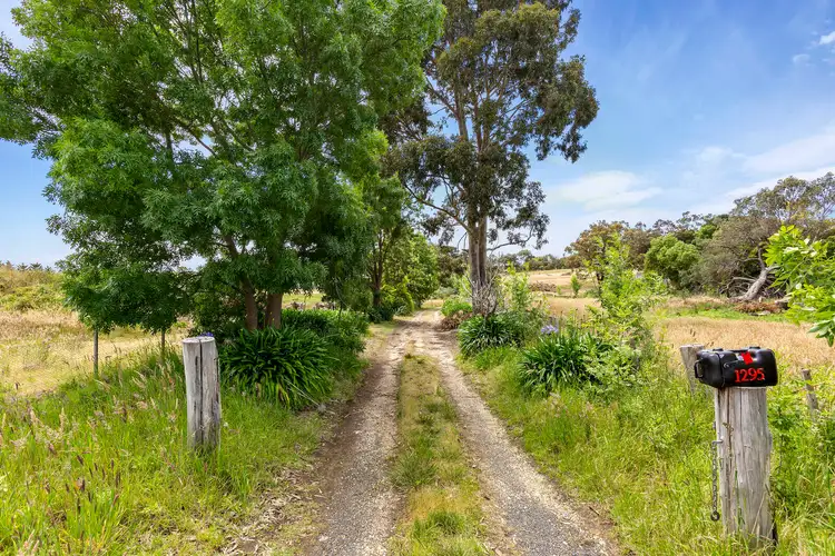 Second view of Homely rural property listing, 1291-1299 Bellarine Highway, Wallington VIC 3222