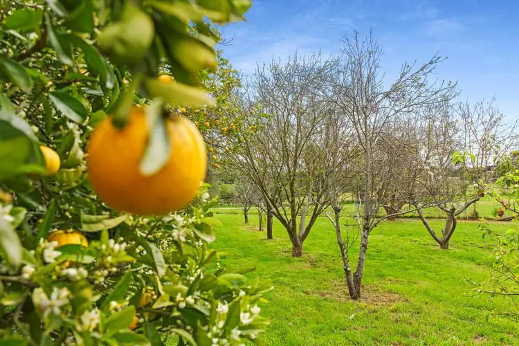 531 Boneo Road, Boneo VIC 3939