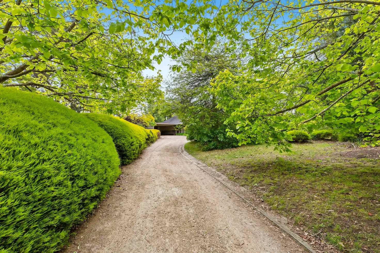 Main view of Homely house listing, 16 Blake Court, Mount Eliza VIC 3930