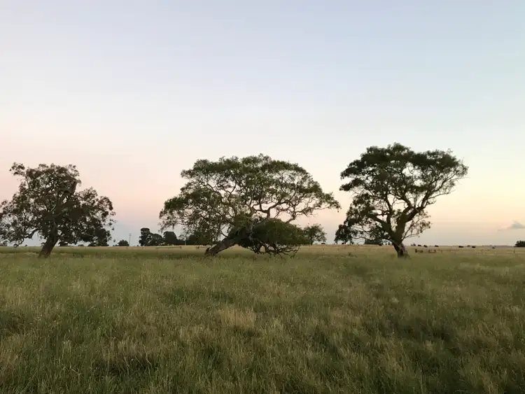 Third view of Homely rural property listing, LOT Lot 2, 142 Tylers Road, Pearsondale VIC 3851