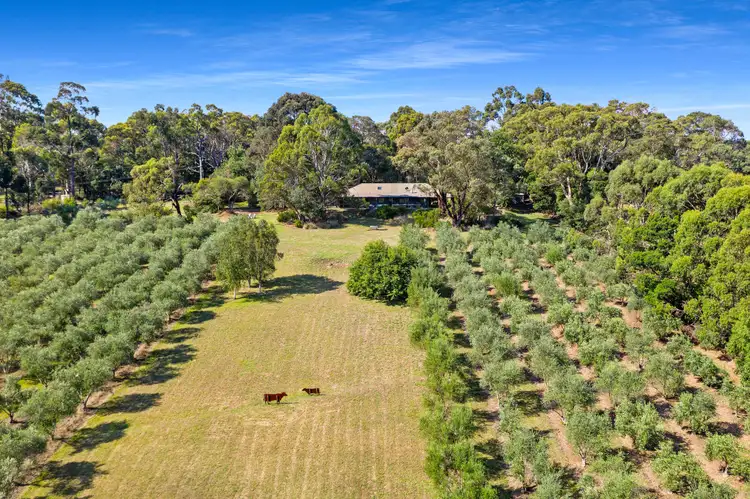 Fourth view of Homely house listing, 7 Hillcrest Road, Shoreham VIC 3916