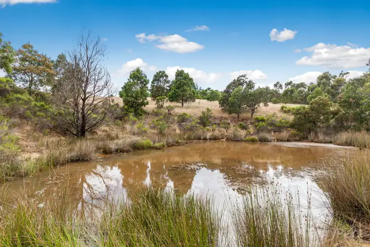 Fifth view of Homely rural property listing, 95 Beauview Drive, Wallan VIC 3756